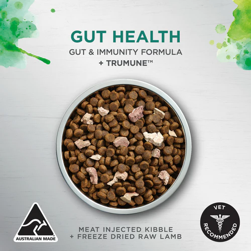 Ivory Coat DOG 狗糧+生羊肺凍乾 Raw Health Chicken + Freeze Dried Raw Lamb 腸道健康雞肉 成犬配方 Gut Health Adult Dog 10kg (訂貨需時3-5天) (ICS-261274) Ivory Coat DOG 狗糧+生羊肺凍乾 Raw Health Chicken + Freeze Dried Raw Lamb 腸道健康雞肉 成犬配方 Gut Health Adult Dog 10kg (訂貨需時3-5天) (ICS-261274)